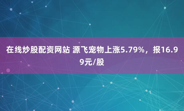 在线炒股配资网站 源飞宠物上涨5.79%，报16.99元/股