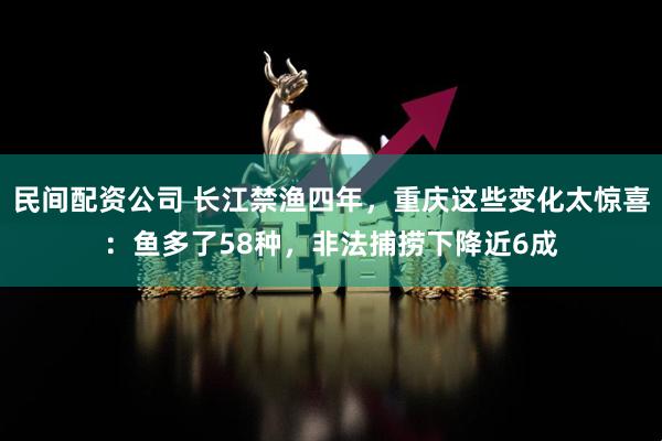 民间配资公司 长江禁渔四年，重庆这些变化太惊喜：鱼多了58种，非法捕捞下降近6成