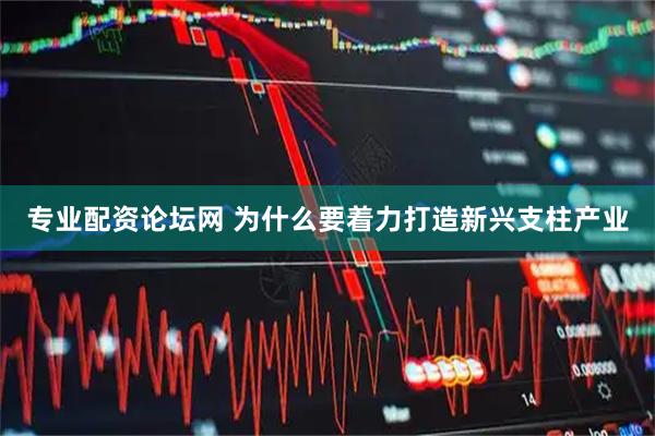 专业配资论坛网 为什么要着力打造新兴支柱产业