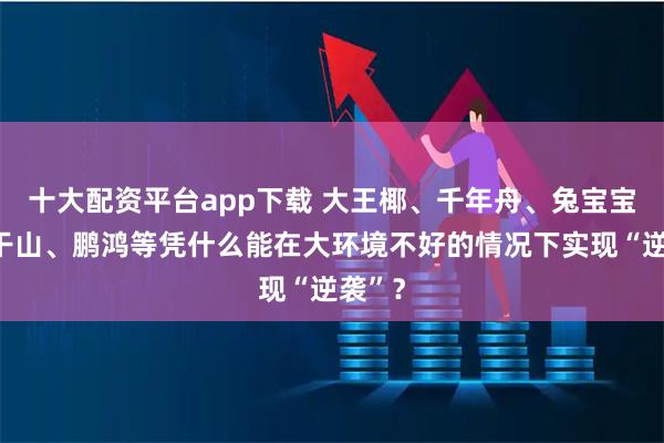 十大配资平台app下载 大王椰、千年舟、兔宝宝、莫干山、鹏鸿等凭什么能在大环境不好的情况下实现“逆袭”?